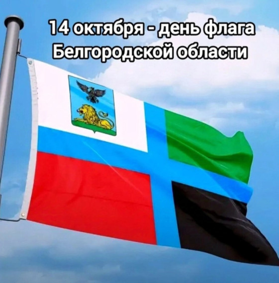 "День флага белгородской области".